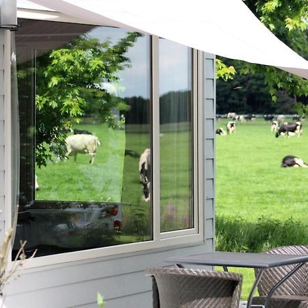 Panorama Box Op Camping De Stal Drijber Exteriör bild