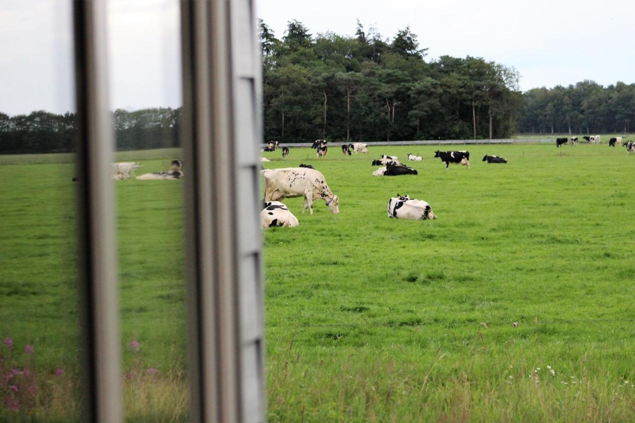 Panorama Box Op Camping De Stal Drijber Exteriör bild